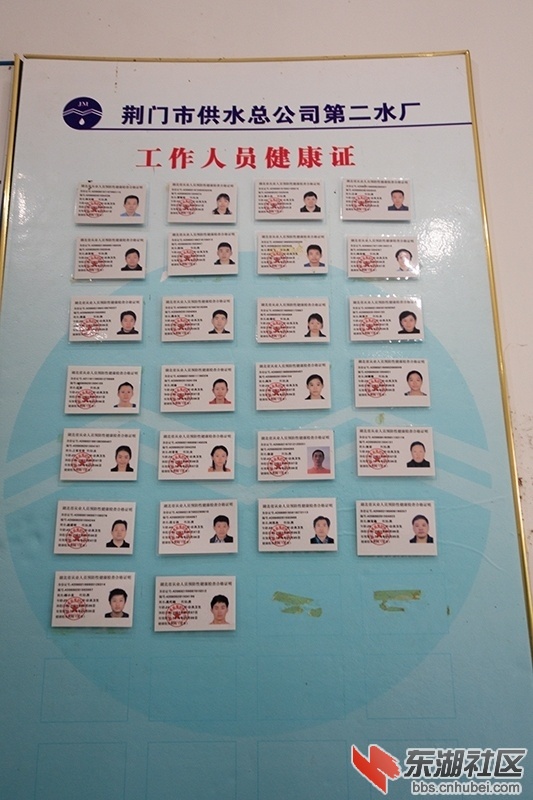 DSC02177.jpg