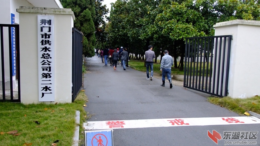 DSCF4181.jpg