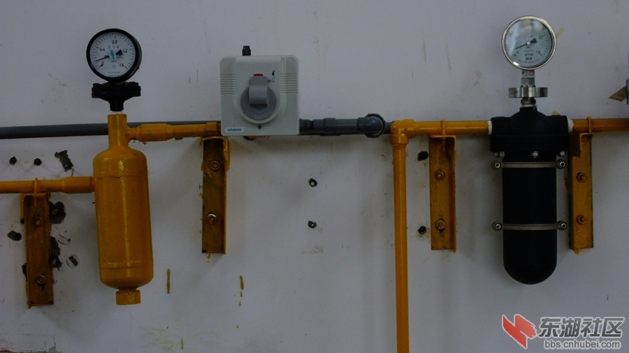 DSCF4204.jpg