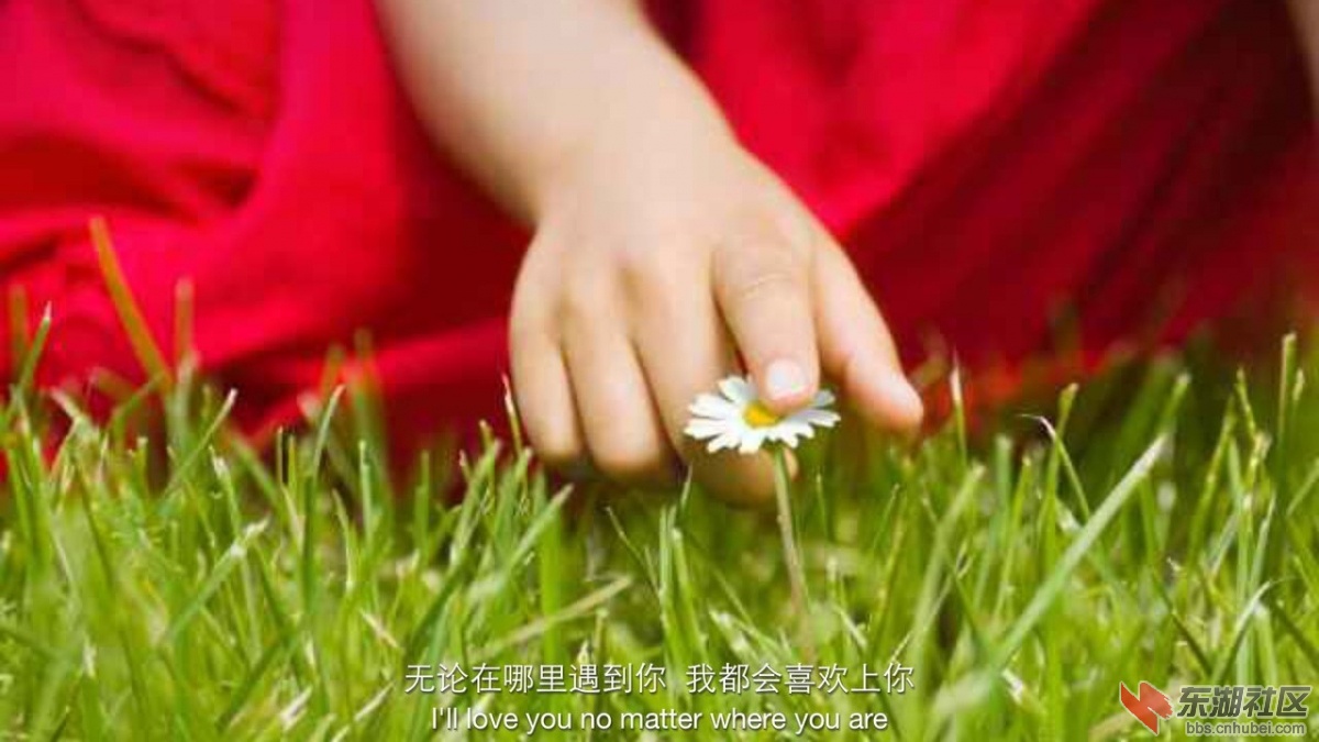 IMG1443431562646.jpg