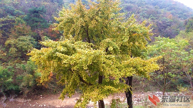 DSCN0261_副本.jpg