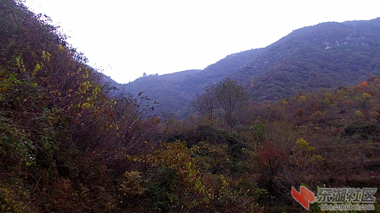 DSCN0265_副本.jpg