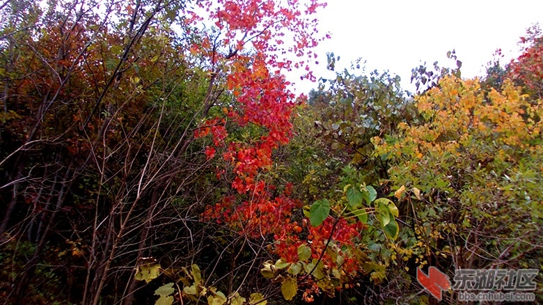 DSCN0267_副本.jpg