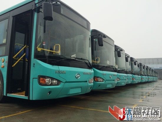 151618q6alangtzat2g3d2.jpg