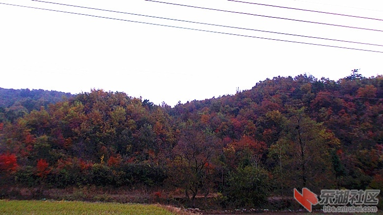 DSCN0297_副本.jpg
