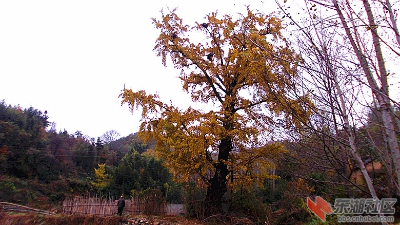 DSCN0310_副本.jpg