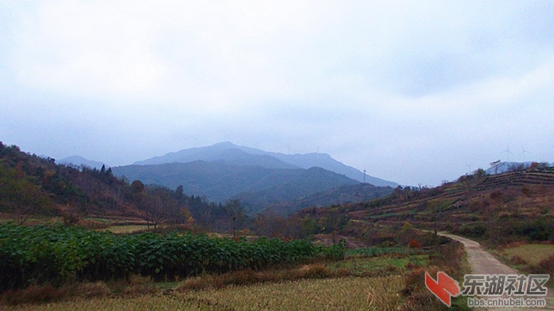 DSCN0315_副本.jpg