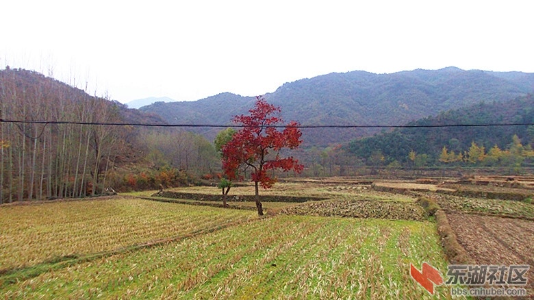DSCN0324_副本.jpg
