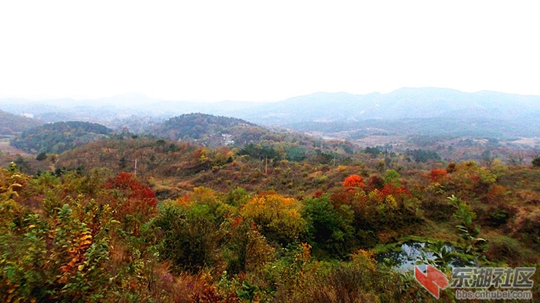 DSCN0335_副本.jpg
