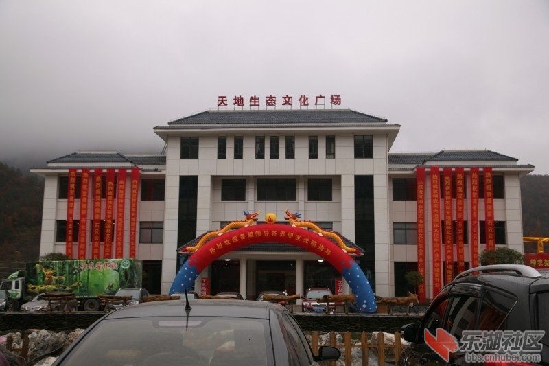 conew_img_9778.jpg