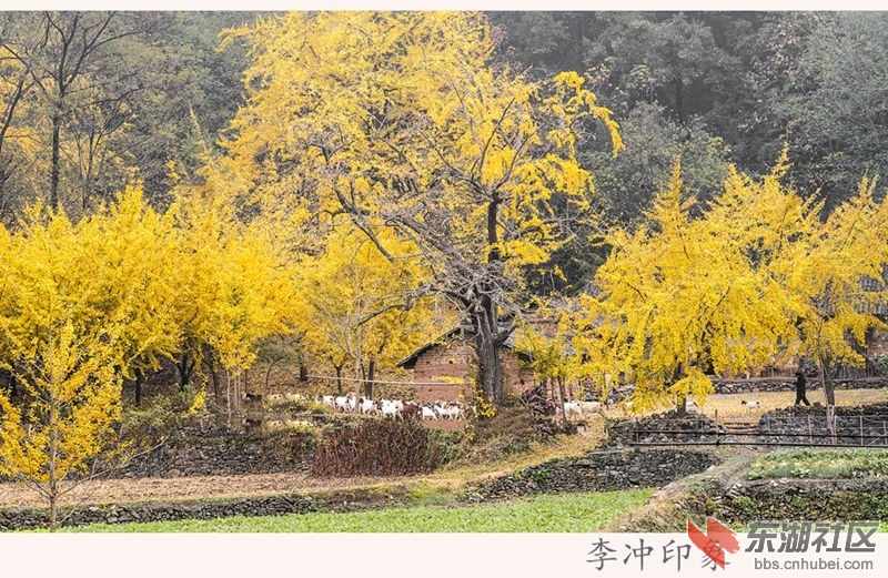 DSC_3389_副本.jpg