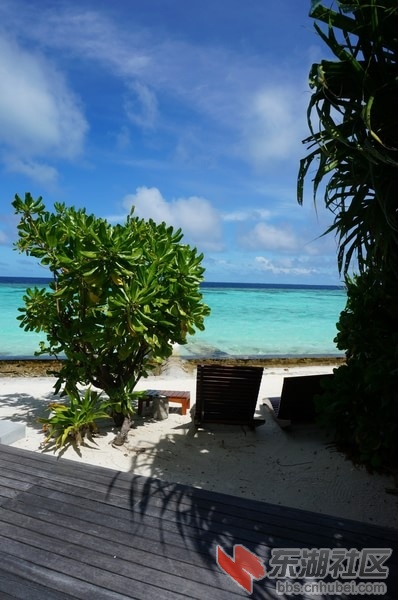 Bodu-Hithi16.jpg