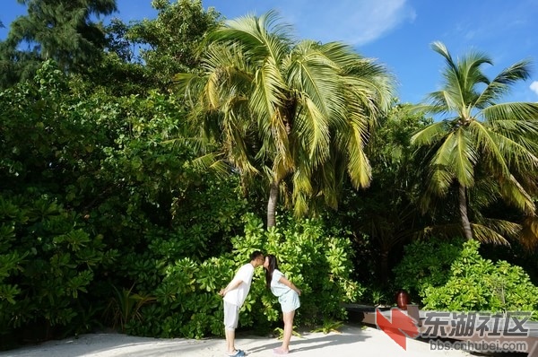Bodu-Hithi21.jpg