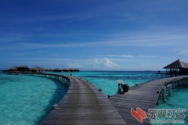 Bodu-Hithi27.jpg