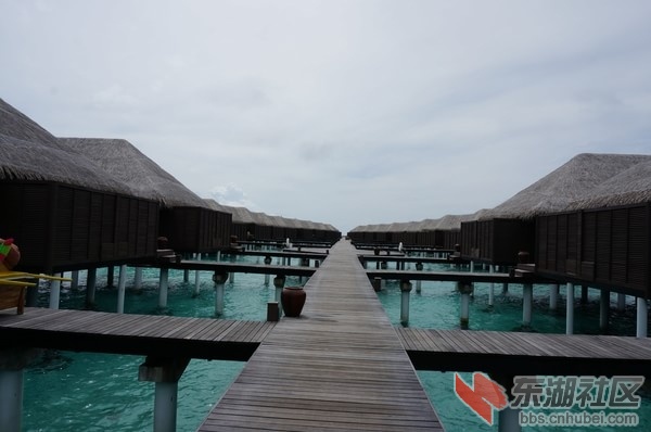 Bodu-Hithi49.jpg