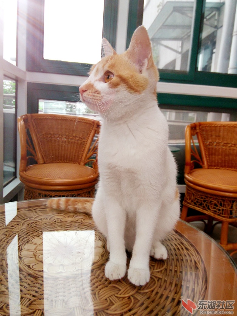 IMG20151108095011_副本.jpg