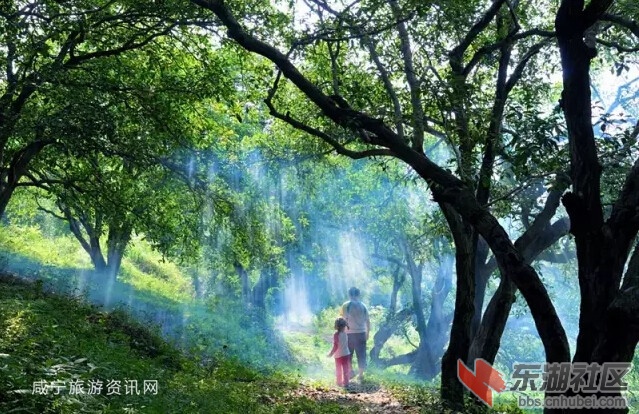 QQ截图20151119095546_副本.jpg