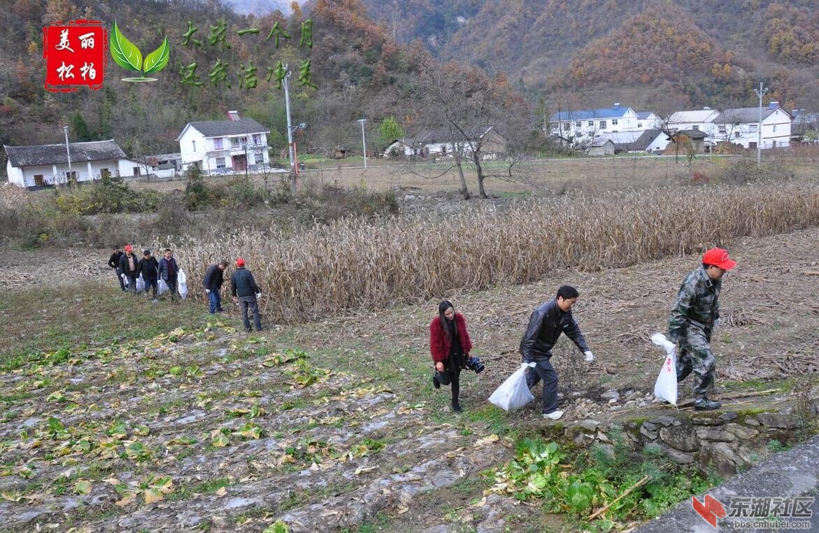QQ截图20151120222640.jpg