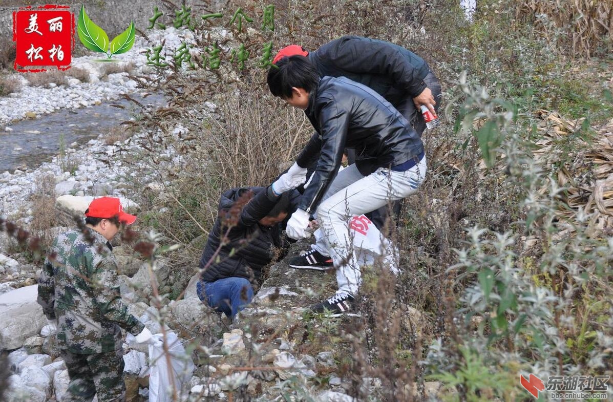 QQ截图20151120222654.jpg