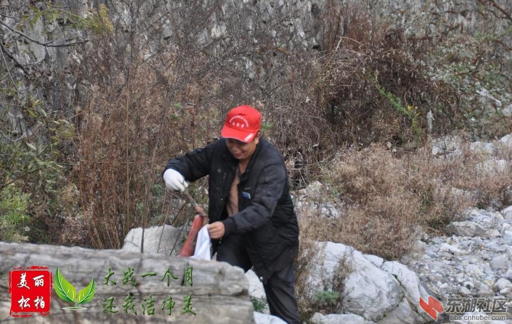 QQ截图20151120222711.jpg