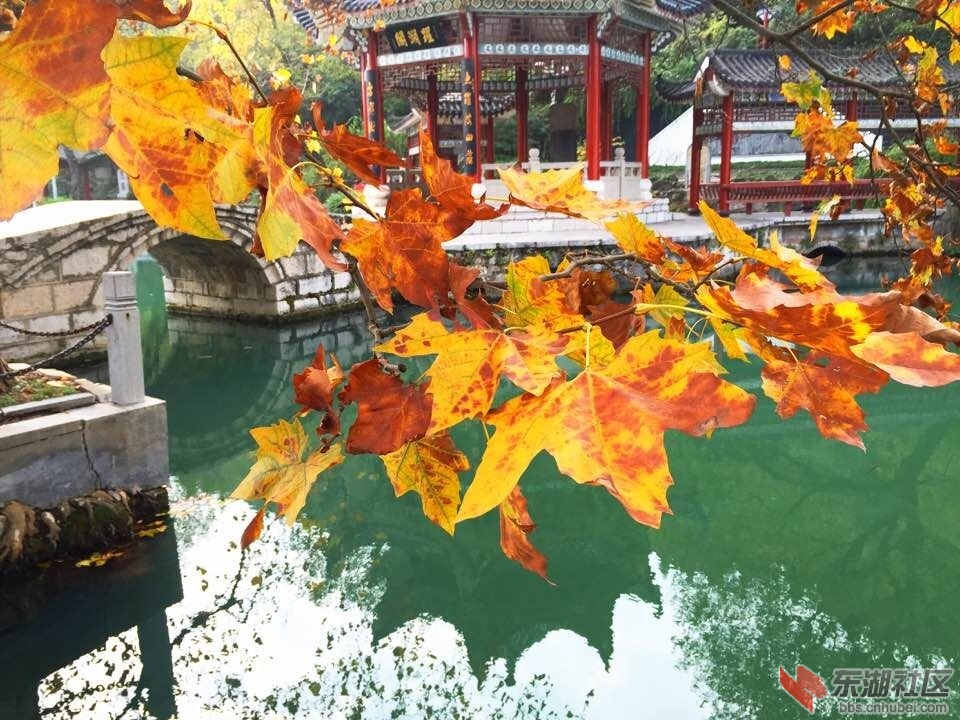 QQ图片20151121133514.jpg