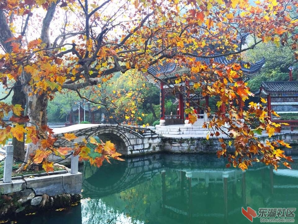QQ图片20151121133505.jpg