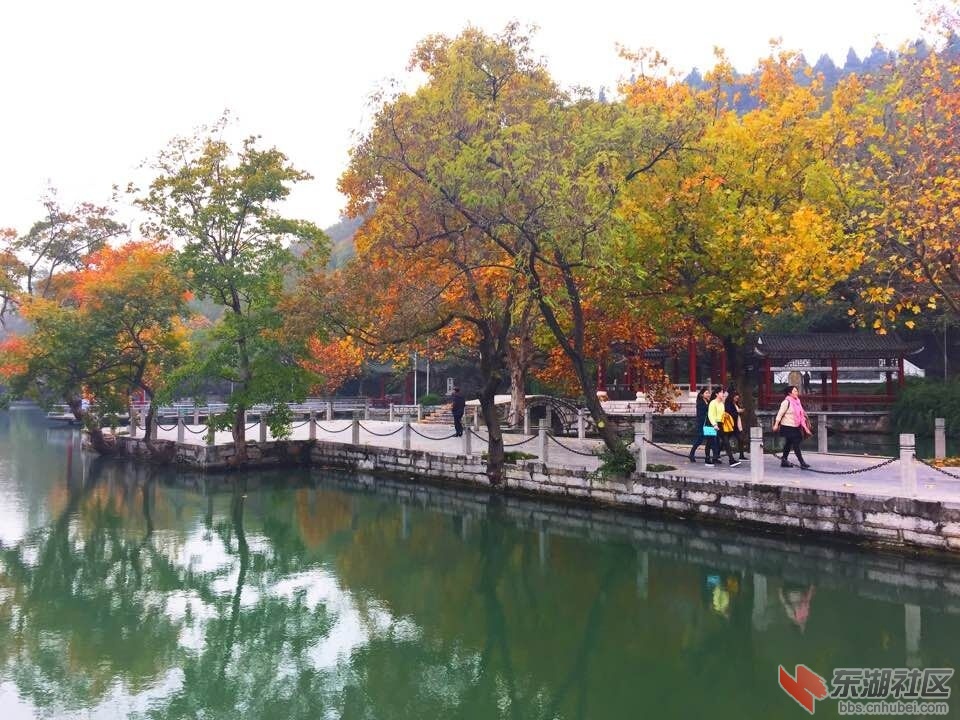 QQ图片20151121133442.jpg