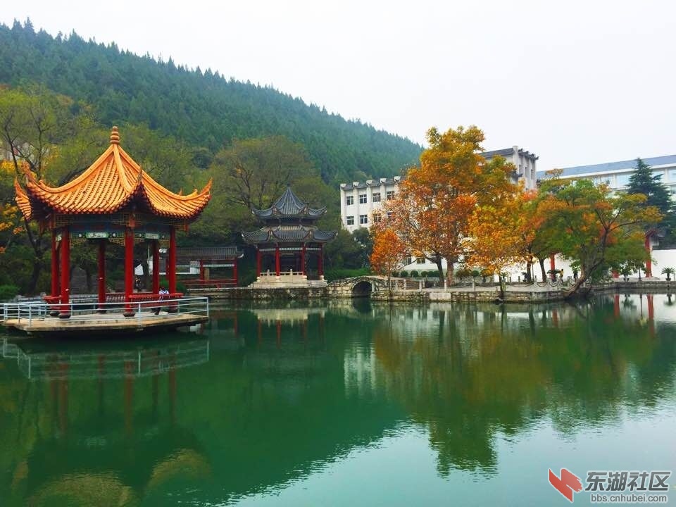 QQ图片20151121133448.jpg