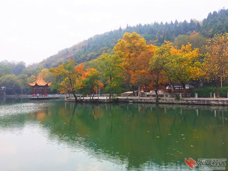 QQ图片20151121133440.jpg