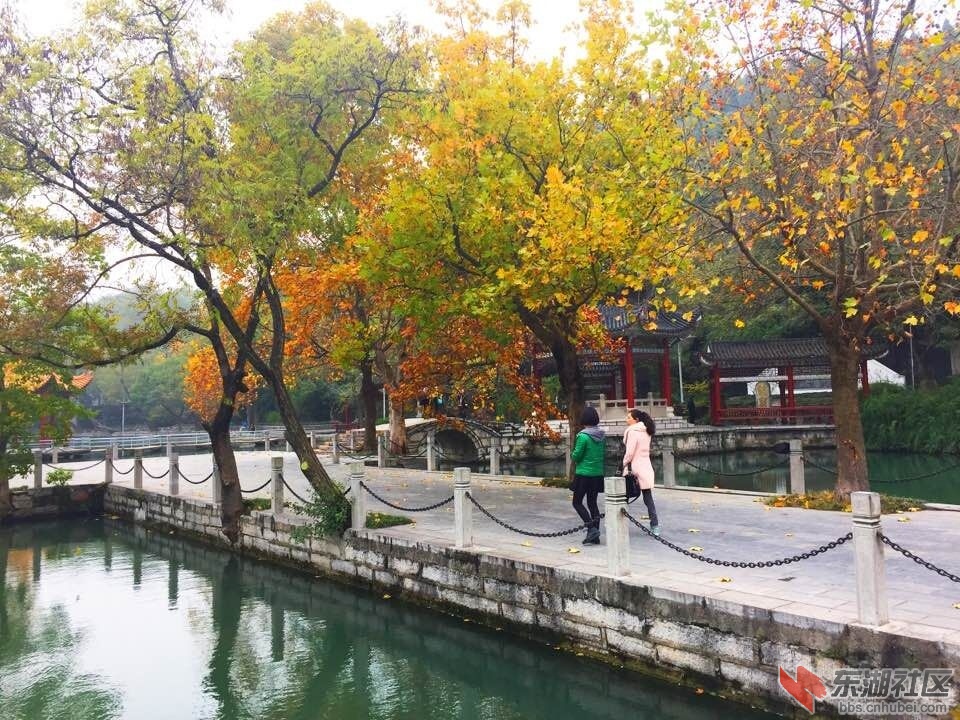 QQ图片20151121133432.jpg