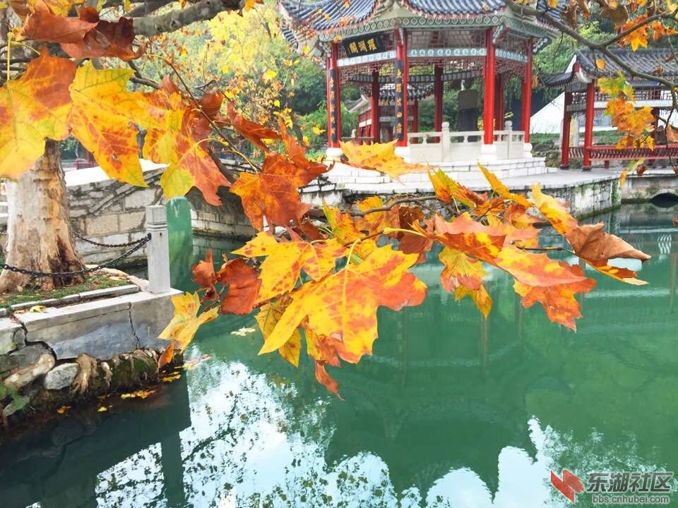QQ图片20151121133451.jpg