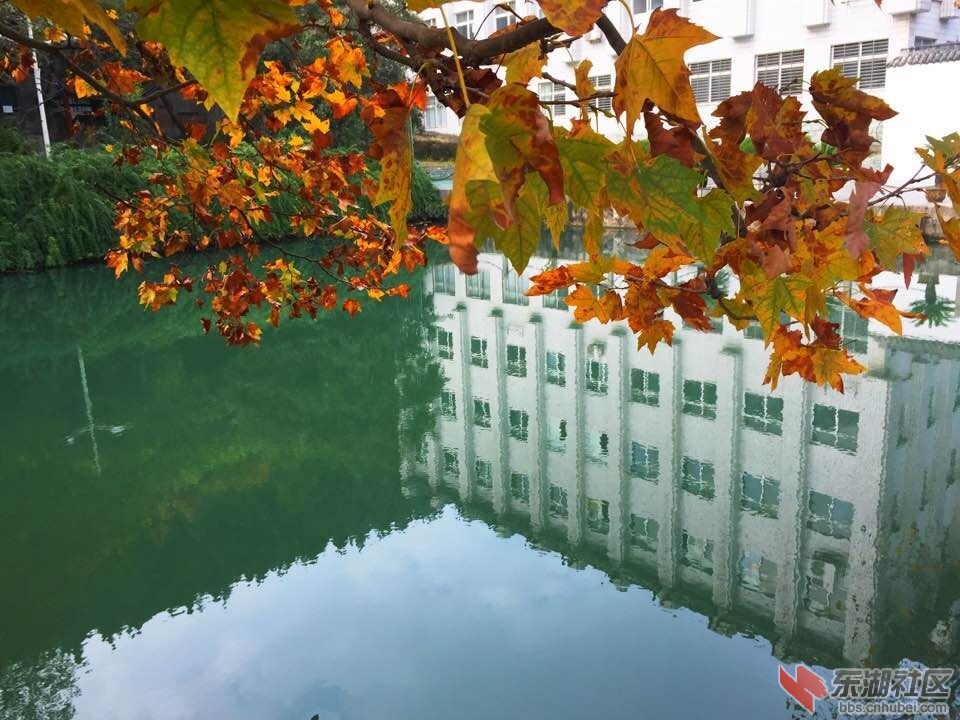 QQ图片20151121133517.jpg