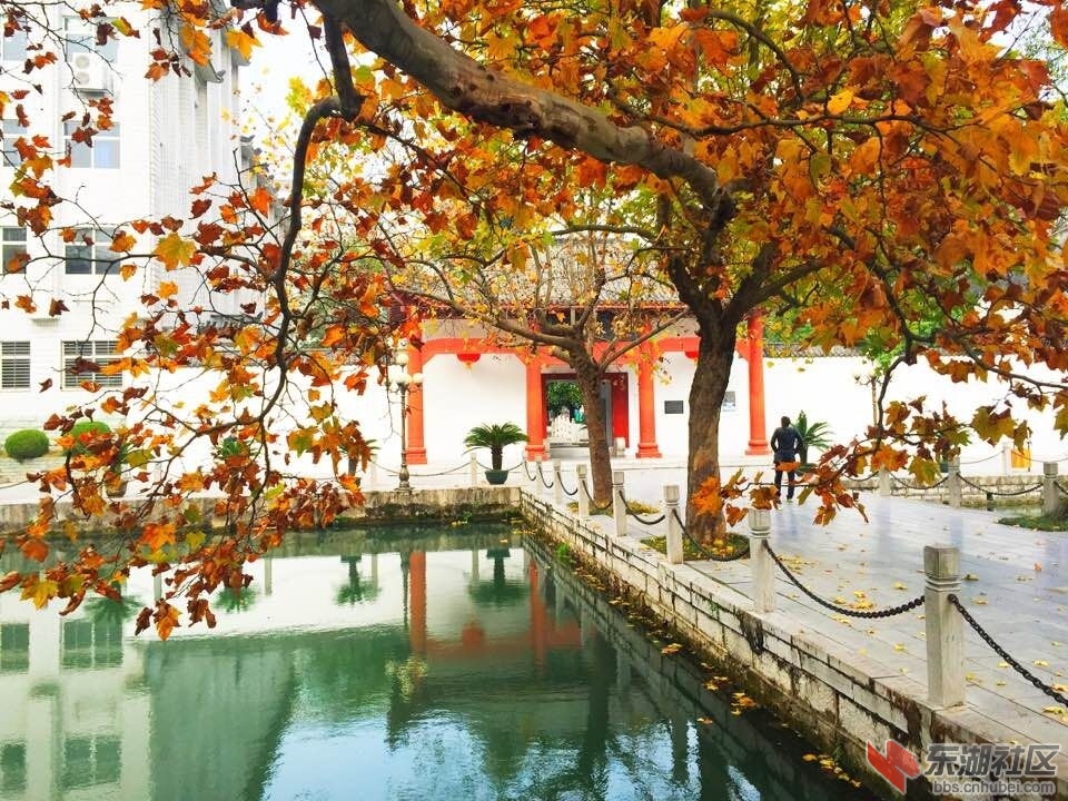 QQ图片20151121133511.jpg