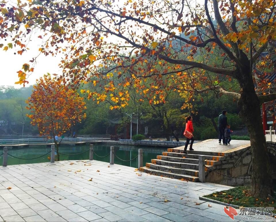 QQ图片20151121133520.jpg