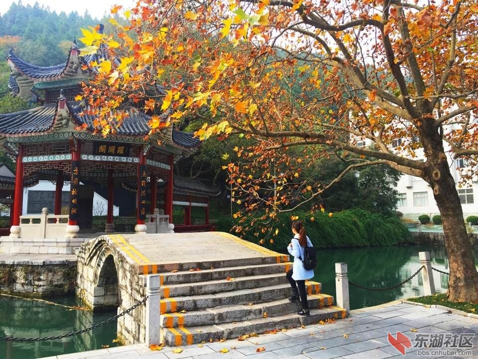 QQ图片20151121133531.jpg