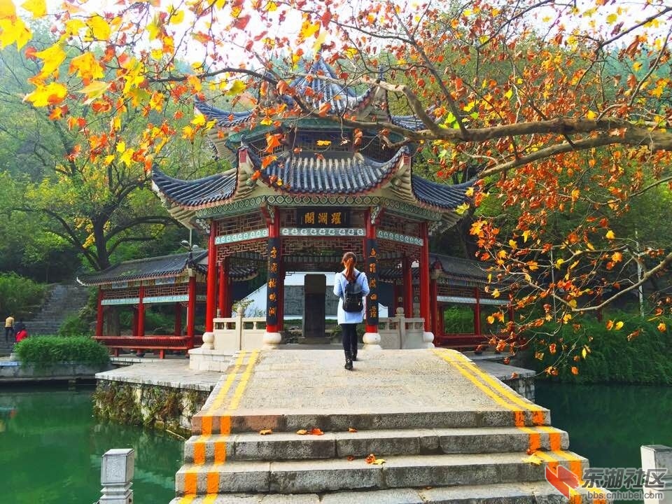 QQ图片20151121133525.jpg