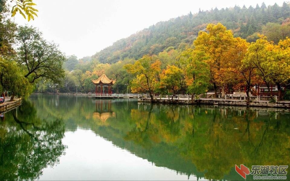 QQ图片20151121133541.jpg