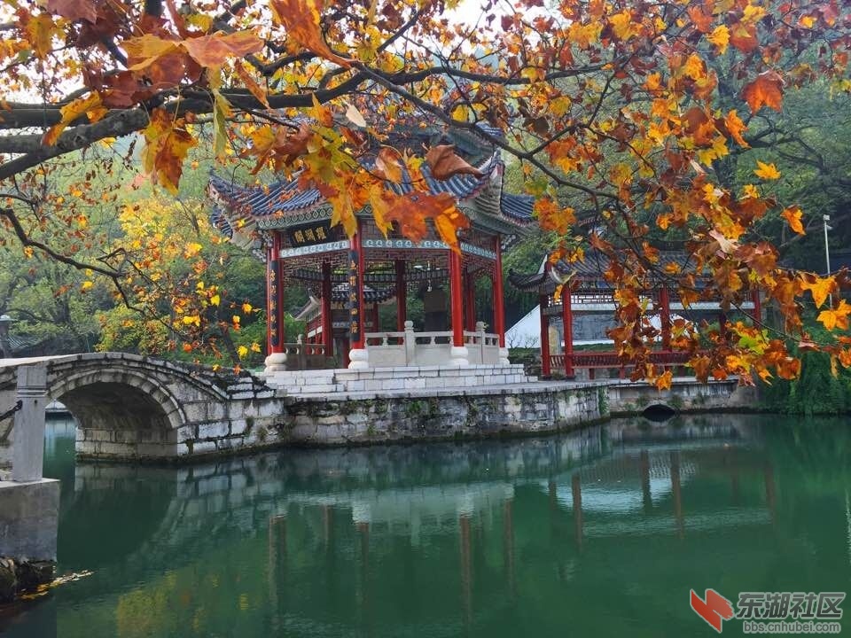 QQ图片20151121133549.jpg