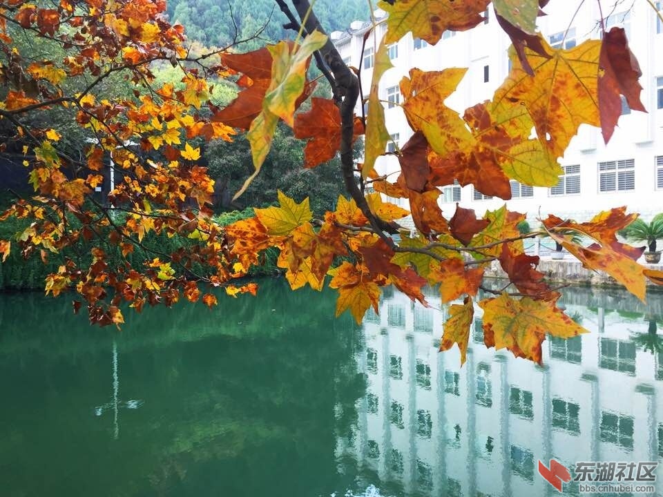 QQ图片20151121133544.jpg