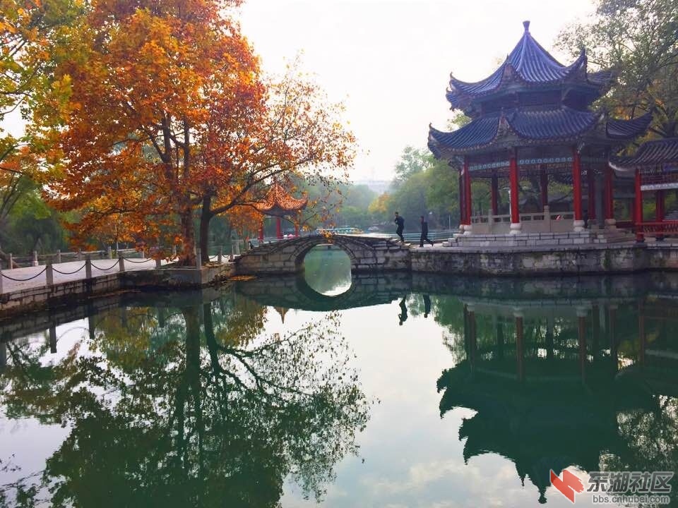 QQ图片20151121133609.jpg