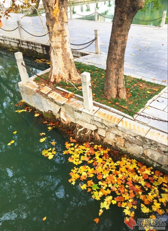 QQ图片20151121133503.jpg