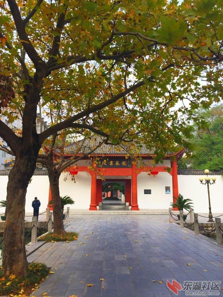 QQ图片20151121133536.jpg