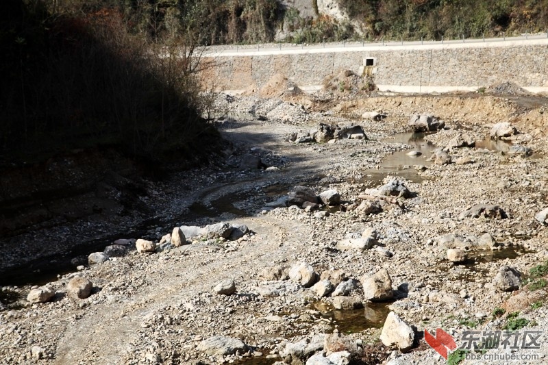 conew_img_9784.jpg