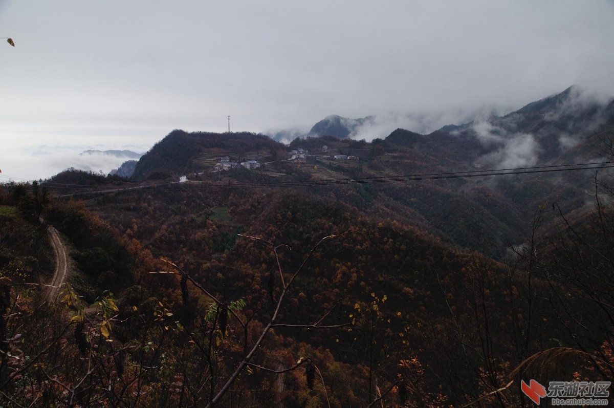 DSC_1061_副本.jpg