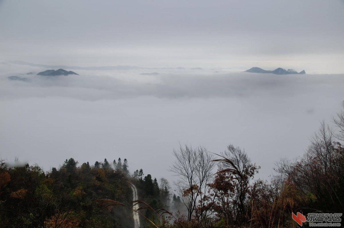 DSC_1078_副本.jpg