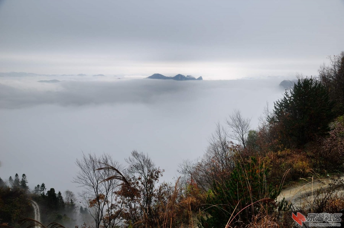 DSC_1083_副本.jpg
