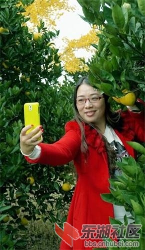 QQ图片20151123144920.jpg