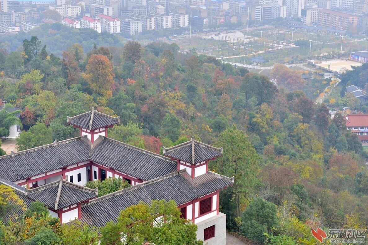 QQ图片20151123162917.jpg