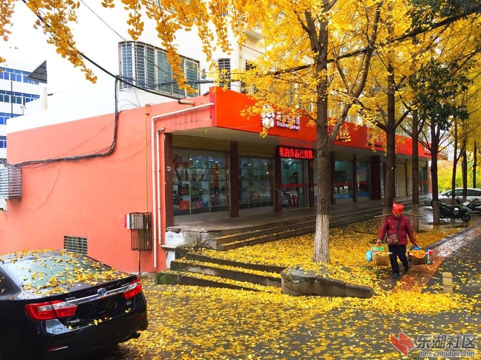 QQ图片20151124101902.jpg