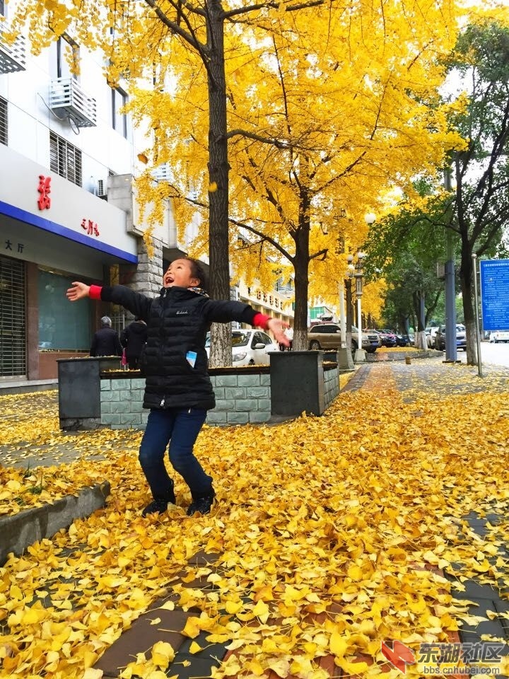 QQ图片20151124101544.jpg